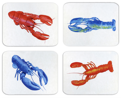 Lobster Series - (Set of 4 Large Placemats) - Today's Menu